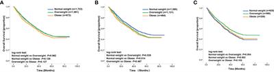 The prognostic impact of BMI on colorectal cancer is stratified by tumor location